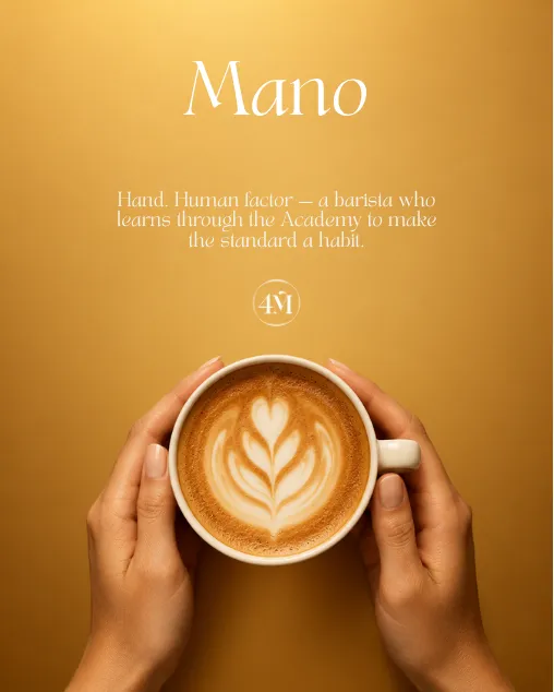 Plakat der 4M-Kampagne: Mano