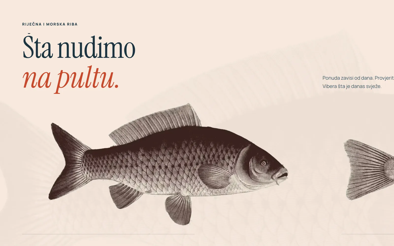 Ihtis, Šta nudimo na pultu: šaran i pastrmka kao gravure